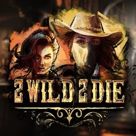 2 Wild 2 Die slot visual from Hacksaw Gaming available on robocatcasino.co.com