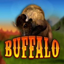 Buffalo Bingo logo by MGA Games Robocat Casino