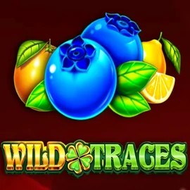 Play Wild Traces slot by Amusnet Interactive on robocatcasino.co.com